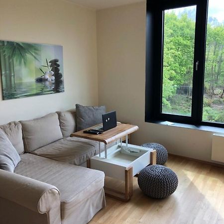 Triplex Residence, Lux-Appartment In The Central Part Karlovy Vary Ngoại thất bức ảnh